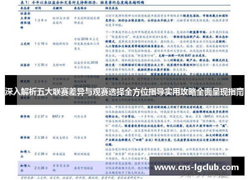 深入解析五大联赛差异与观赛选择全方位指导实用攻略全面呈现指南