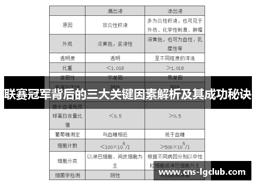 联赛冠军背后的三大关键因素解析及其成功秘诀