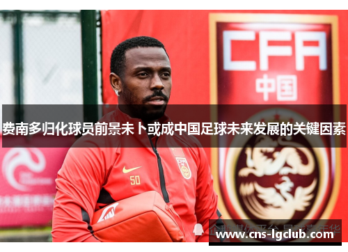 费南多归化球员前景未卜或成中国足球未来发展的关键因素