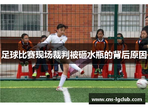足球比赛现场裁判被砸水瓶的背后原因 足球比赛现场裁判被砸水瓶的背后原因